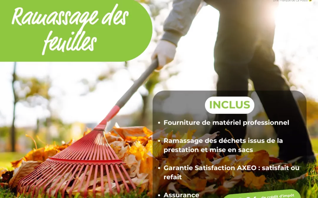 Préparez votre jardin pour l’hiver !