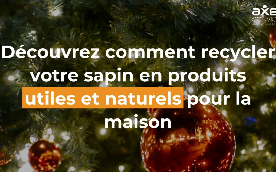 Offrez une seconde vie à votre sapin de Noël en le recyclant en solutions écologiques et pratiques pour votre maison.