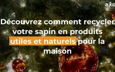 Astuce DIY : Offrez une Seconde Vie à Votre Sapin de Noël